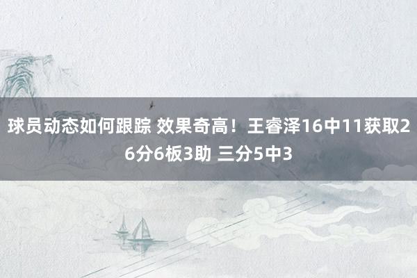 球员动态如何跟踪 效果奇高！王睿泽16中11获取26分6板3助 三分5中3