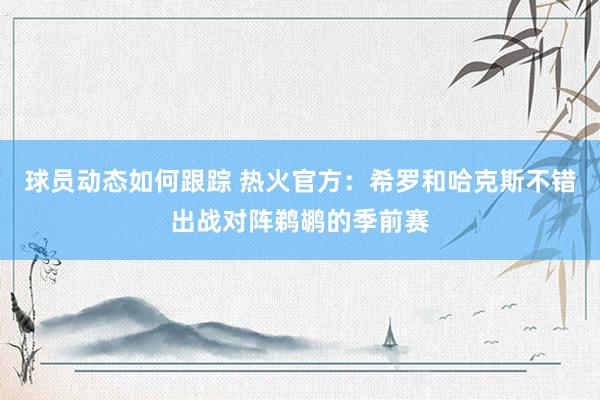 球员动态如何跟踪 热火官方：希罗和哈克斯不错出战对阵鹈鹕的季前赛