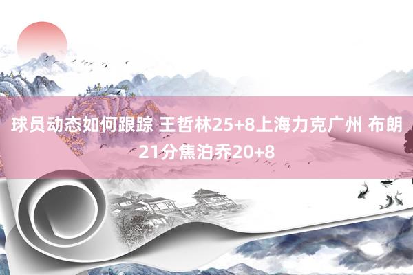 球员动态如何跟踪 王哲林25+8上海力克广州 布朗21分焦泊乔20+8