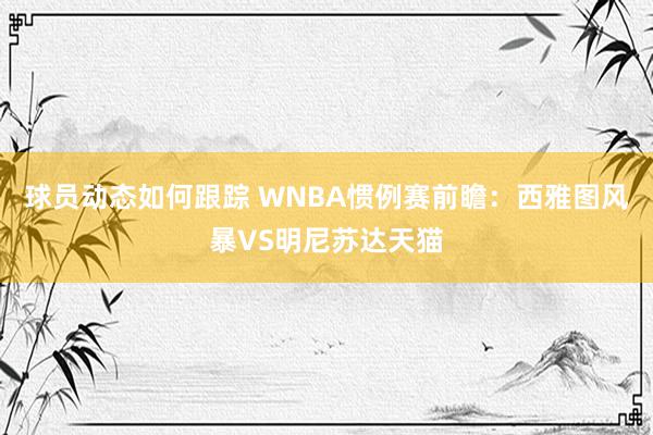 球员动态如何跟踪 WNBA惯例赛前瞻：西雅图风暴VS明尼苏达天猫