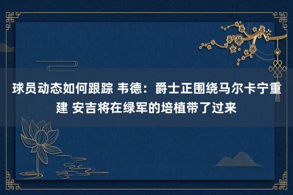 球员动态如何跟踪 韦德：爵士正围绕马尔卡宁重建 安吉将在绿军的培植带了过来