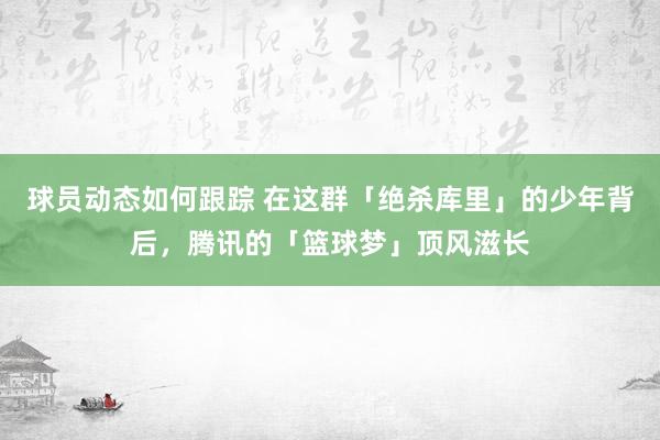 球员动态如何跟踪 在这群「绝杀库里」的少年背后，腾讯的「篮球梦」顶风滋长