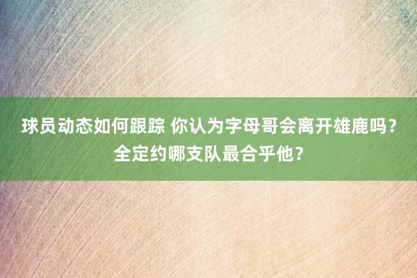 球员动态如何跟踪 你认为字母哥会离开雄鹿吗？全定约哪支队最合乎他？