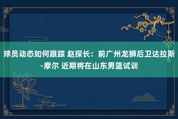 球员动态如何跟踪 赵探长：前广州龙狮后卫达拉斯-摩尔 近期将在山东男篮试训