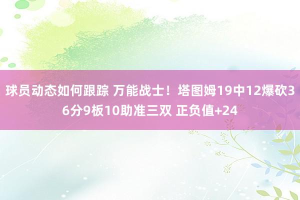 球员动态如何跟踪 万能战士！塔图姆19中12爆砍36分9板10助准三双 正负值+24