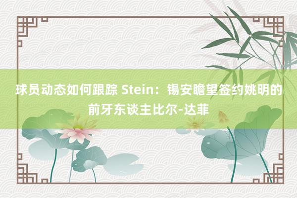 球员动态如何跟踪 Stein：锡安瞻望签约姚明的前牙东谈主比尔-达菲