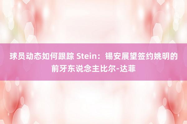 球员动态如何跟踪 Stein：锡安展望签约姚明的前牙东说念主比尔-达菲