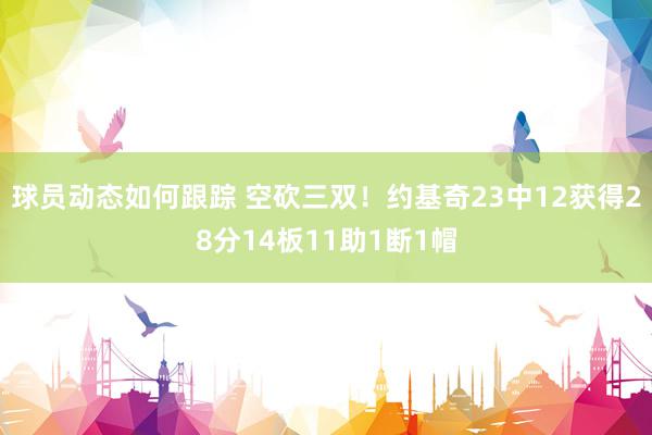 球员动态如何跟踪 空砍三双！约基奇23中12获得28分14板11助1断1帽