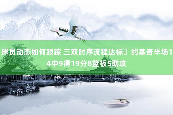 球员动态如何跟踪 三双时序流程达标✔约基奇半场14中9得19分8篮板5助攻