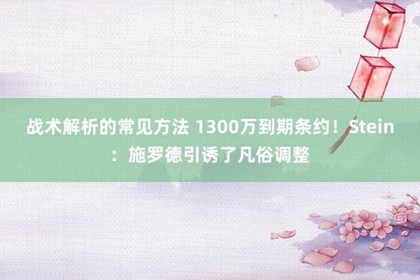 战术解析的常见方法 1300万到期条约！Stein：施罗德引诱了凡俗调整