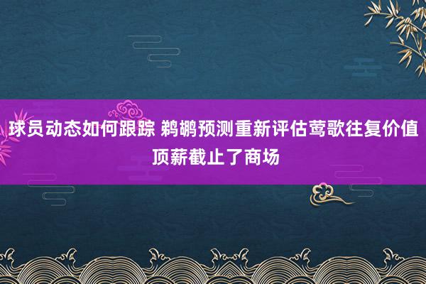 球员动态如何跟踪 鹈鹕预测重新评估莺歌往复价值 顶薪截止了商场