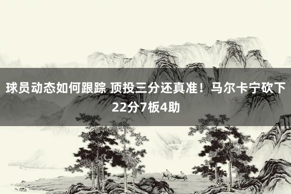 球员动态如何跟踪 顶投三分还真准！马尔卡宁砍下22分7板4助