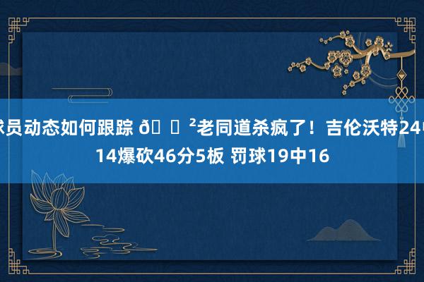 球员动态如何跟踪 😲老同道杀疯了！吉伦沃特24中14爆砍46分5板 罚球19中16