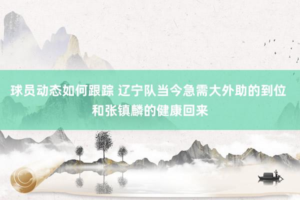 球员动态如何跟踪 辽宁队当今急需大外助的到位 和张镇麟的健康回来