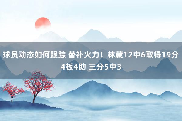 球员动态如何跟踪 替补火力！林葳12中6取得19分4板4助 三分5中3