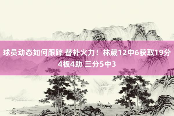 球员动态如何跟踪 替补火力！林葳12中6获取19分4板4助 三分5中3