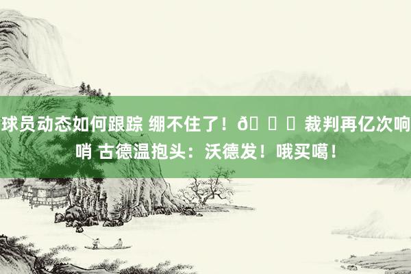 球员动态如何跟踪 绷不住了！😂裁判再亿次响哨 古德温抱头：沃德发！哦买噶！