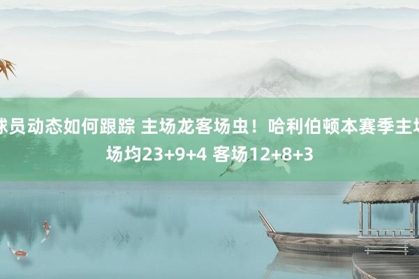 球员动态如何跟踪 主场龙客场虫！哈利伯顿本赛季主场场均23+9+4 客场12+8+3