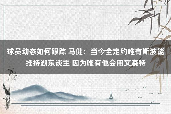 球员动态如何跟踪 马健：当今全定约唯有斯波能维持湖东谈主 因为唯有他会用文森特