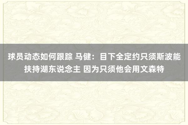 球员动态如何跟踪 马健：目下全定约只须斯波能扶持湖东说念主 因为只须他会用文森特