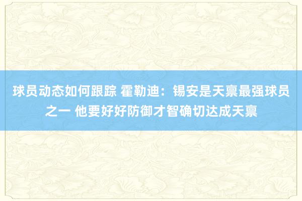 球员动态如何跟踪 霍勒迪：锡安是天禀最强球员之一 他要好好防御才智确切达成天禀