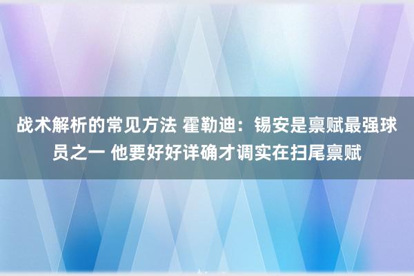 战术解析的常见方法 霍勒迪：锡安是禀赋最强球员之一 他要好好详确才调实在扫尾禀赋