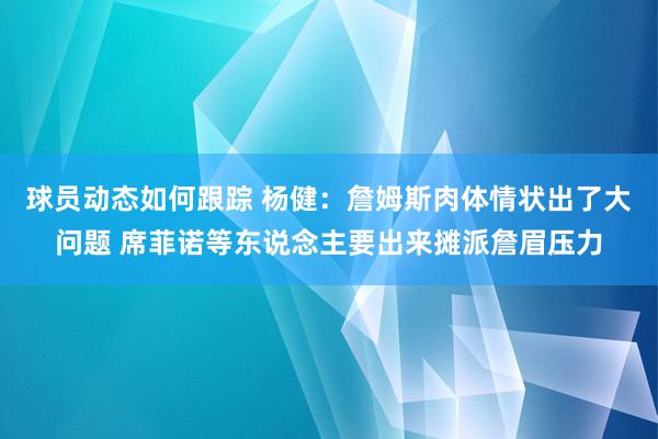 球员动态如何跟踪 杨健：詹姆斯肉体情状出了大问题 席菲诺等东说念主要出来摊派詹眉压力