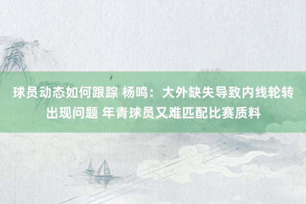 球员动态如何跟踪 杨鸣：大外缺失导致内线轮转出现问题 年青球员又难匹配比赛质料