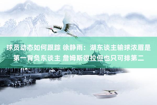 球员动态如何跟踪 徐静雨：湖东谈主输球浓眉是第一背负东谈主 詹姆斯很拉但也只可排第二