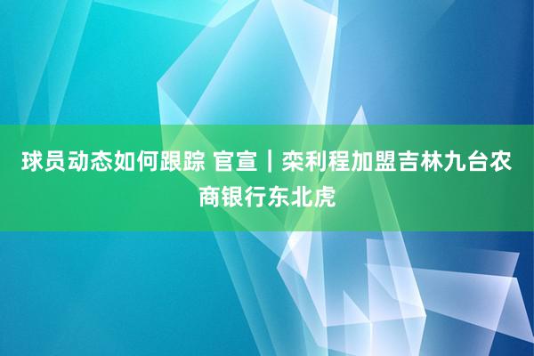 球员动态如何跟踪 官宣｜栾利程加盟吉林九台农商银行东北虎