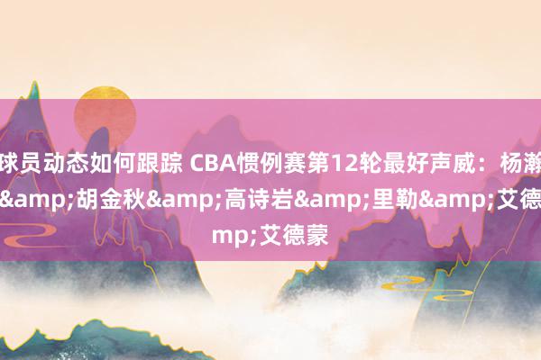 球员动态如何跟踪 CBA惯例赛第12轮最好声威：杨瀚森&胡金秋&高诗岩&里勒&艾德蒙