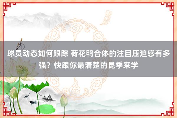 球员动态如何跟踪 荷花鸭合体的注目压迫感有多强？快跟你最清楚的昆季来学