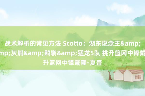 战术解析的常见方法 Scotto：湖东说念主&快船&灰熊&鹈鹕&猛龙5队 挑升篮网中锋戴隆-夏普