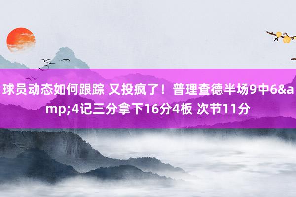 球员动态如何跟踪 又投疯了！普理查德半场9中6&4记三分拿下16分4板 次节11分